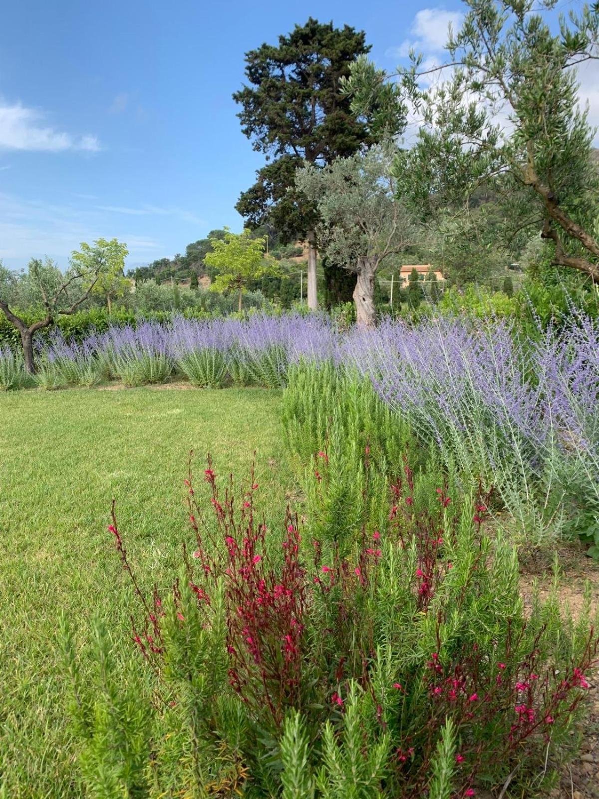 Tenuta Santa Caterina Portoferraio Exterior foto