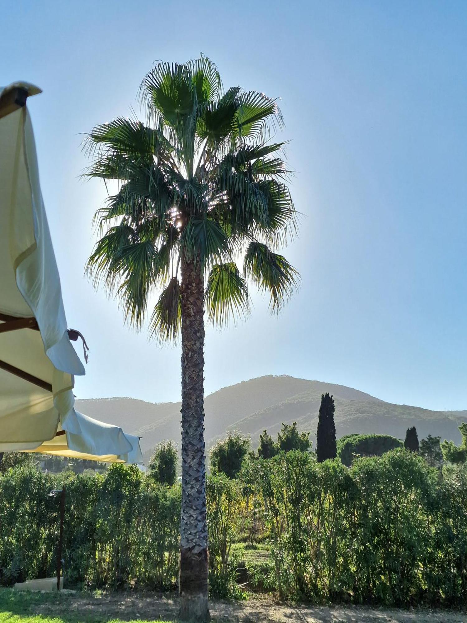 Tenuta Santa Caterina Portoferraio Exterior foto